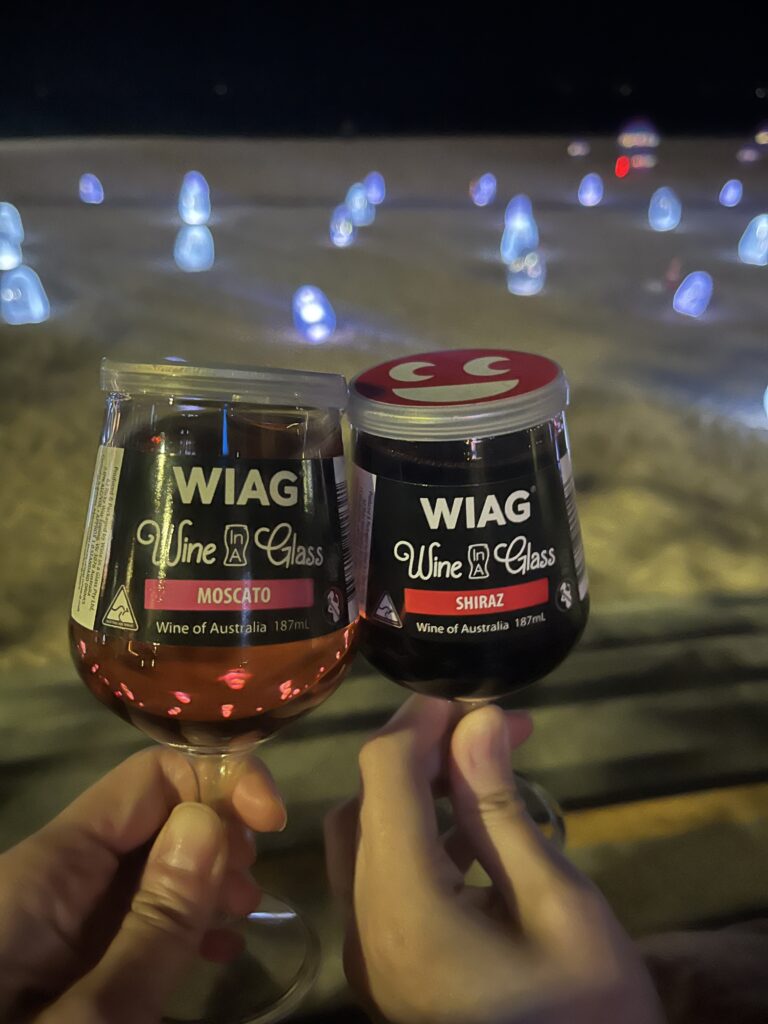 The sea and two glasses of wine—happiness