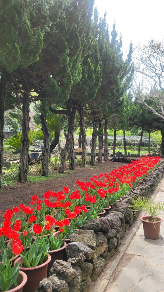 Tulips amidst the trees