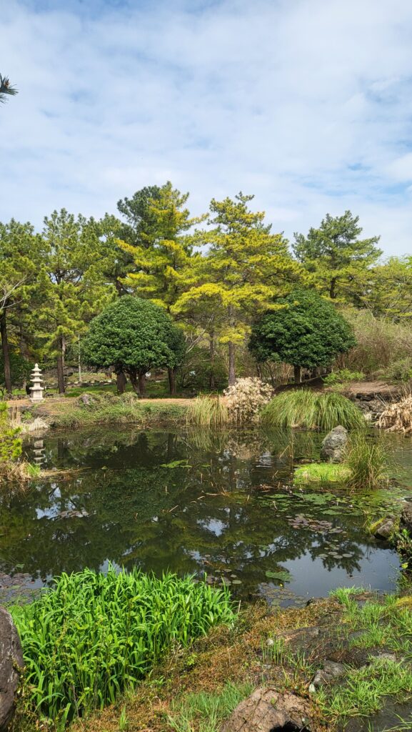 Scenery of the lake and trees