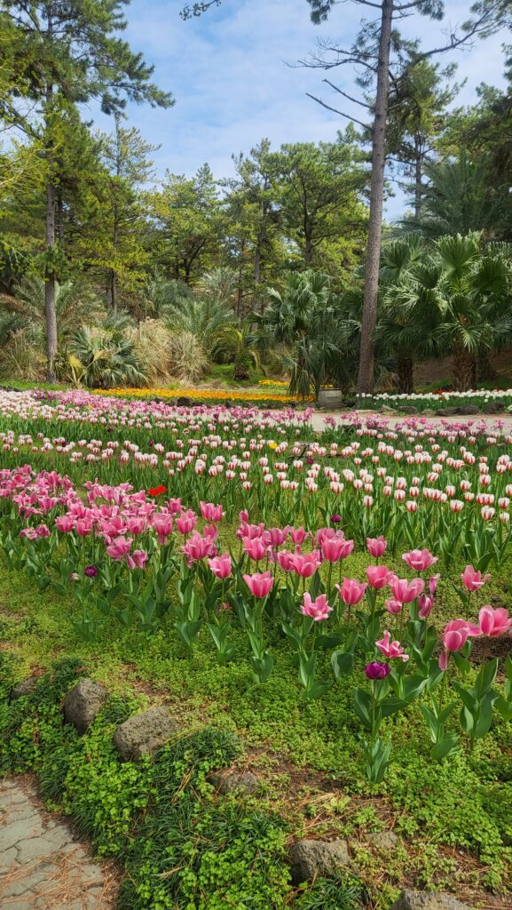 Tulips amidst the trees
