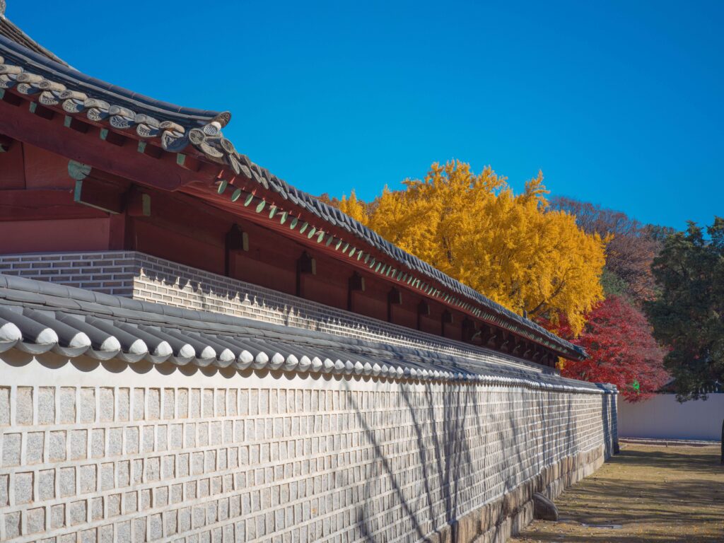 Trees blending in with the low walls of Dongmyo 