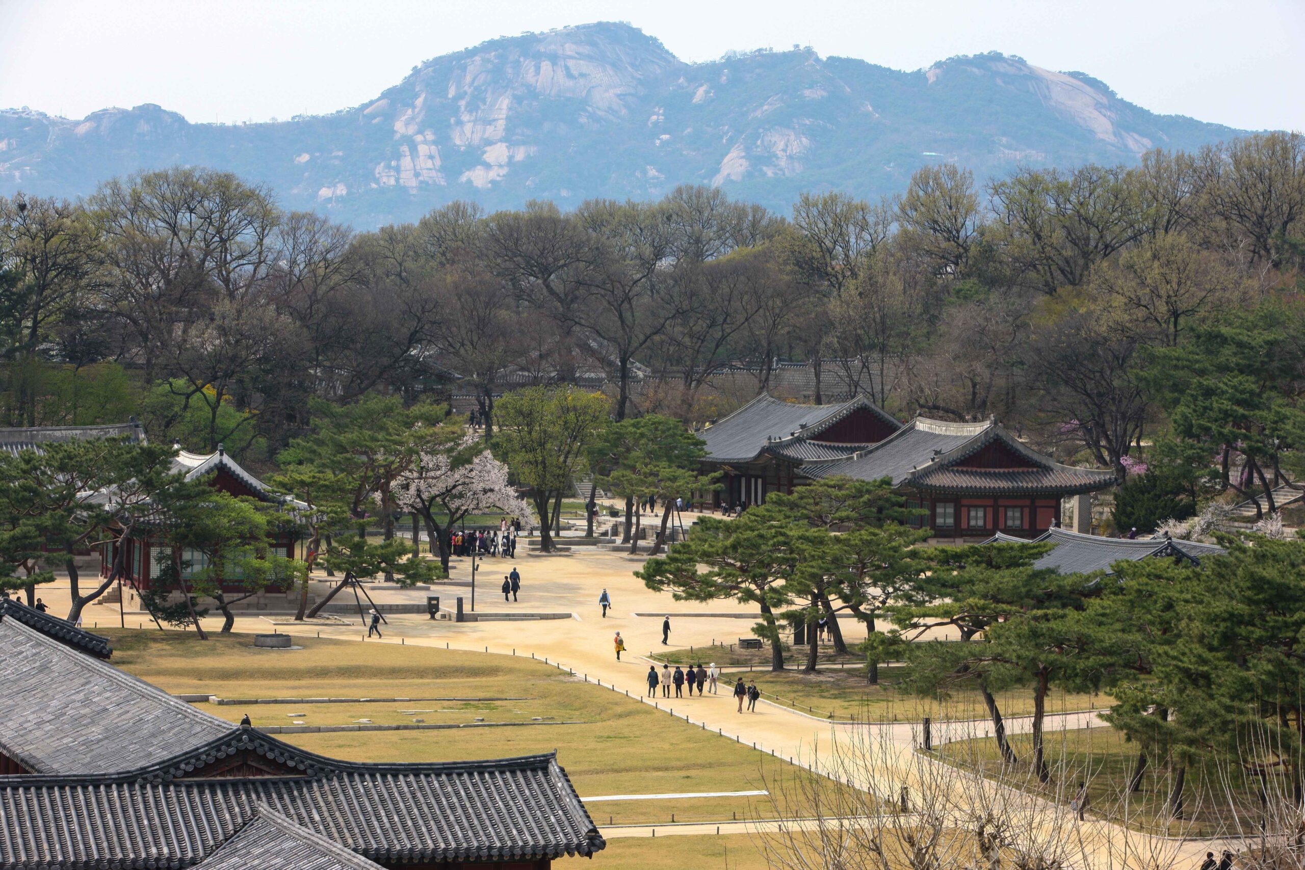 A landscape that blends seamlessly with the nature of Changdeokgung Palace
